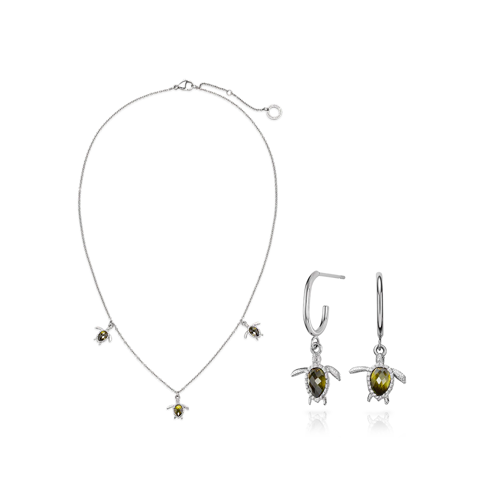 Set Turtle II Silver