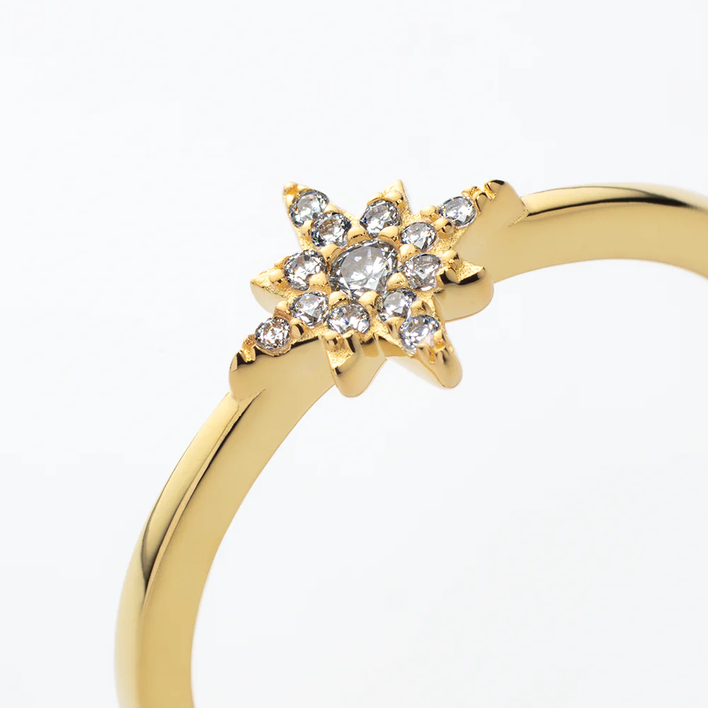 Windrose Mono Ring Gold