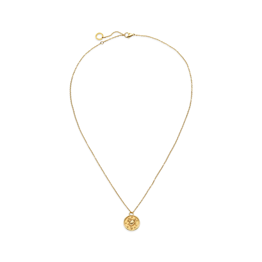 Turtle Coin Necklace Gold