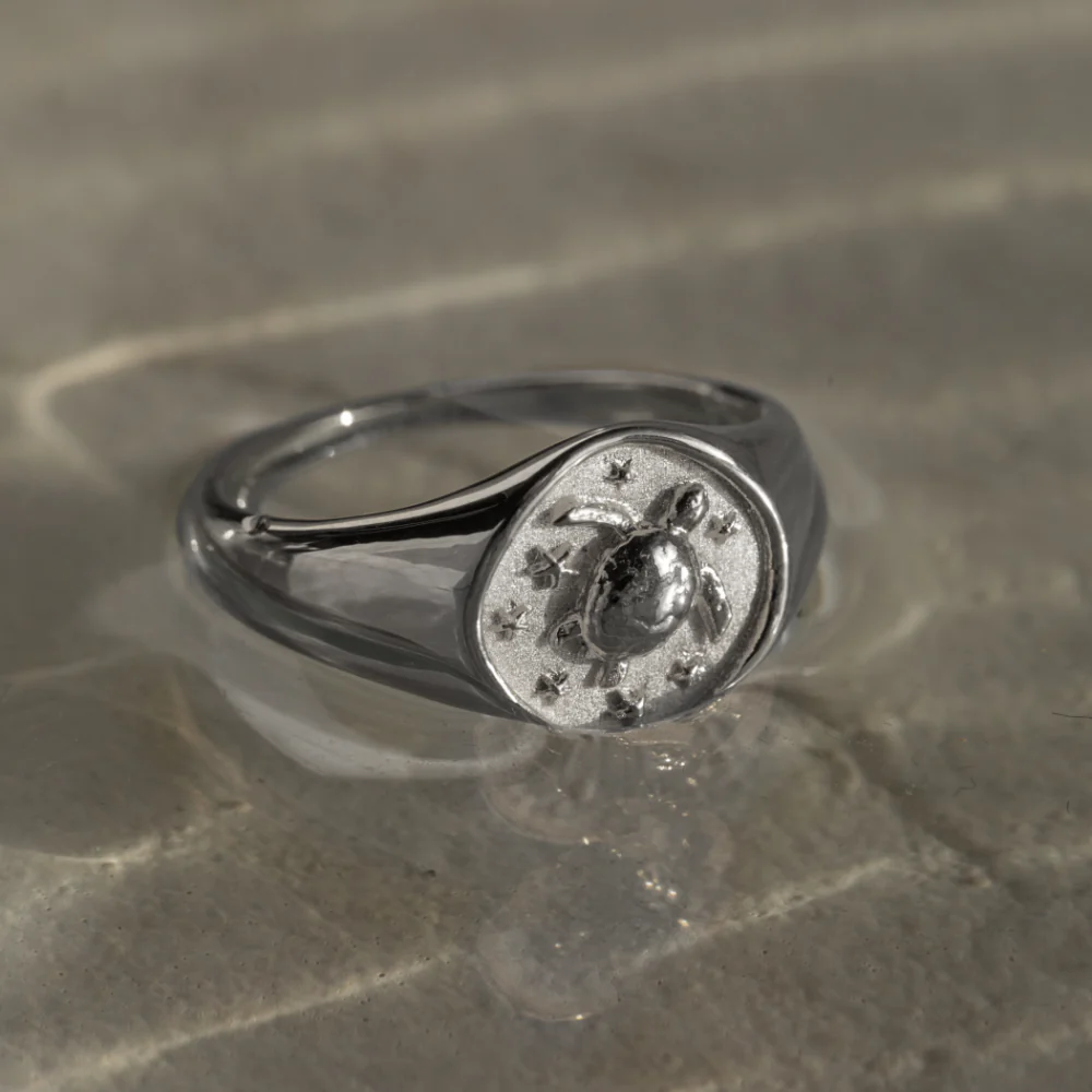 Turtle Signet Ring Silver