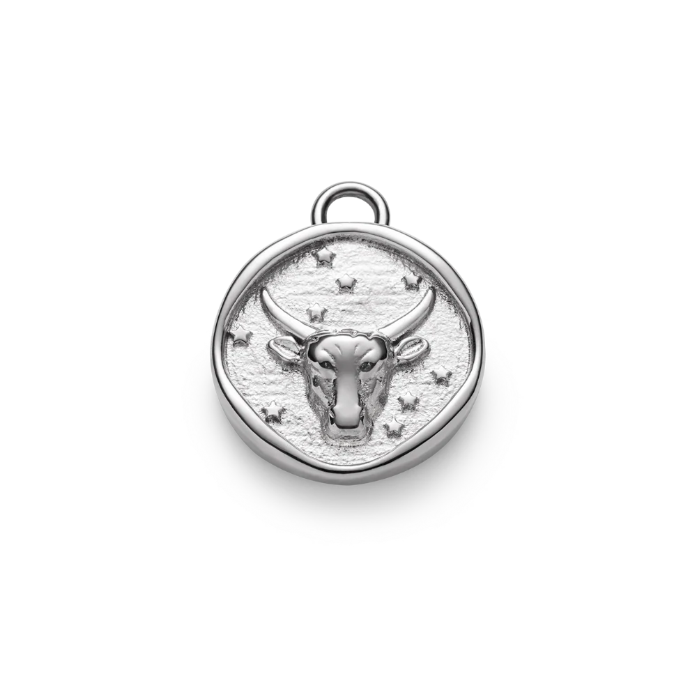 Taurus charm silver