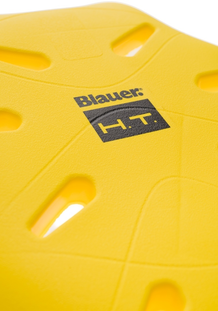 Blauer Back Protector