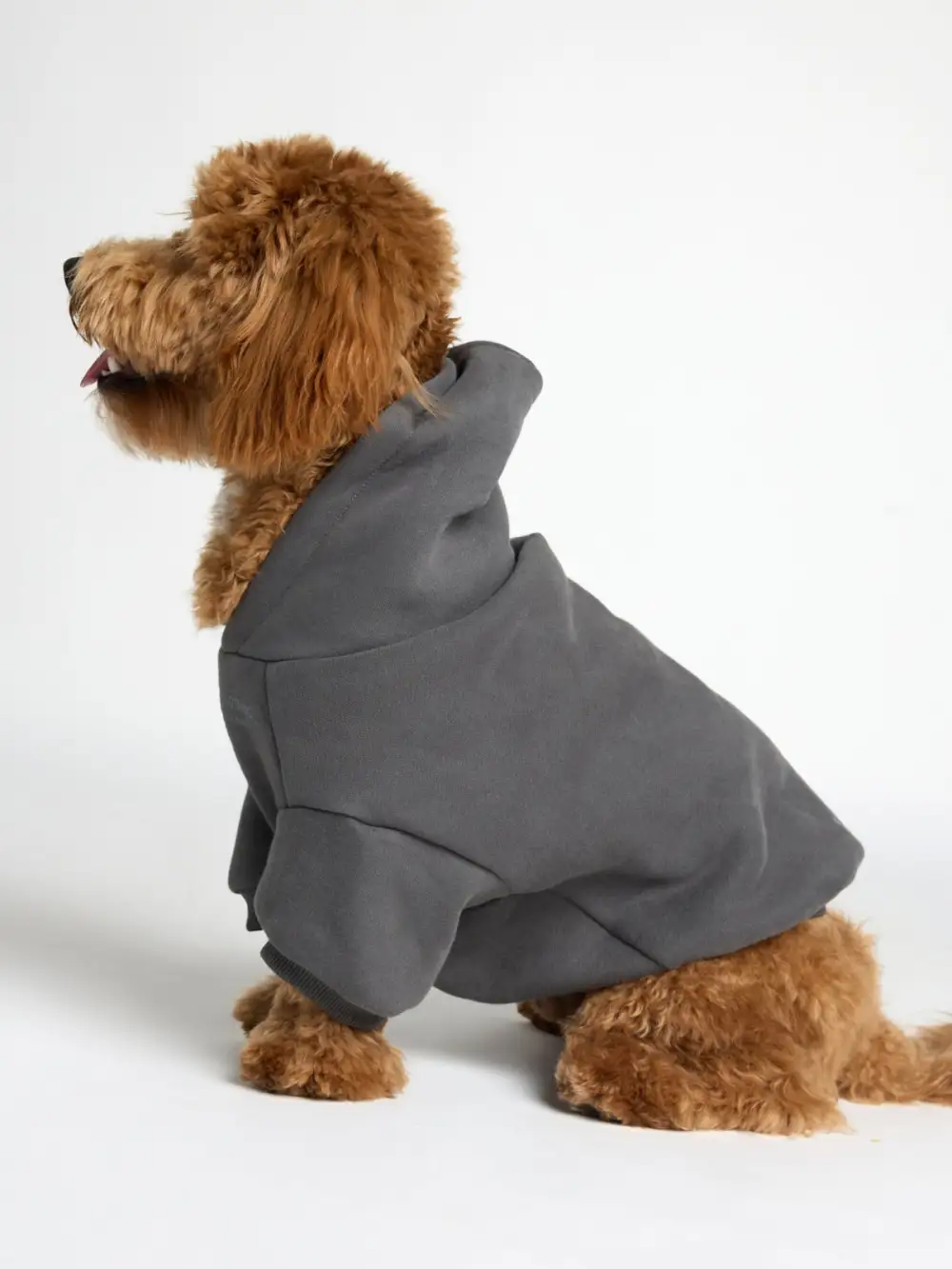 You Matter Paw Hoodie