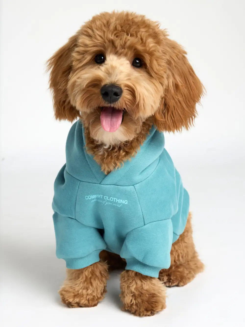 You Matter Paw Hoodie