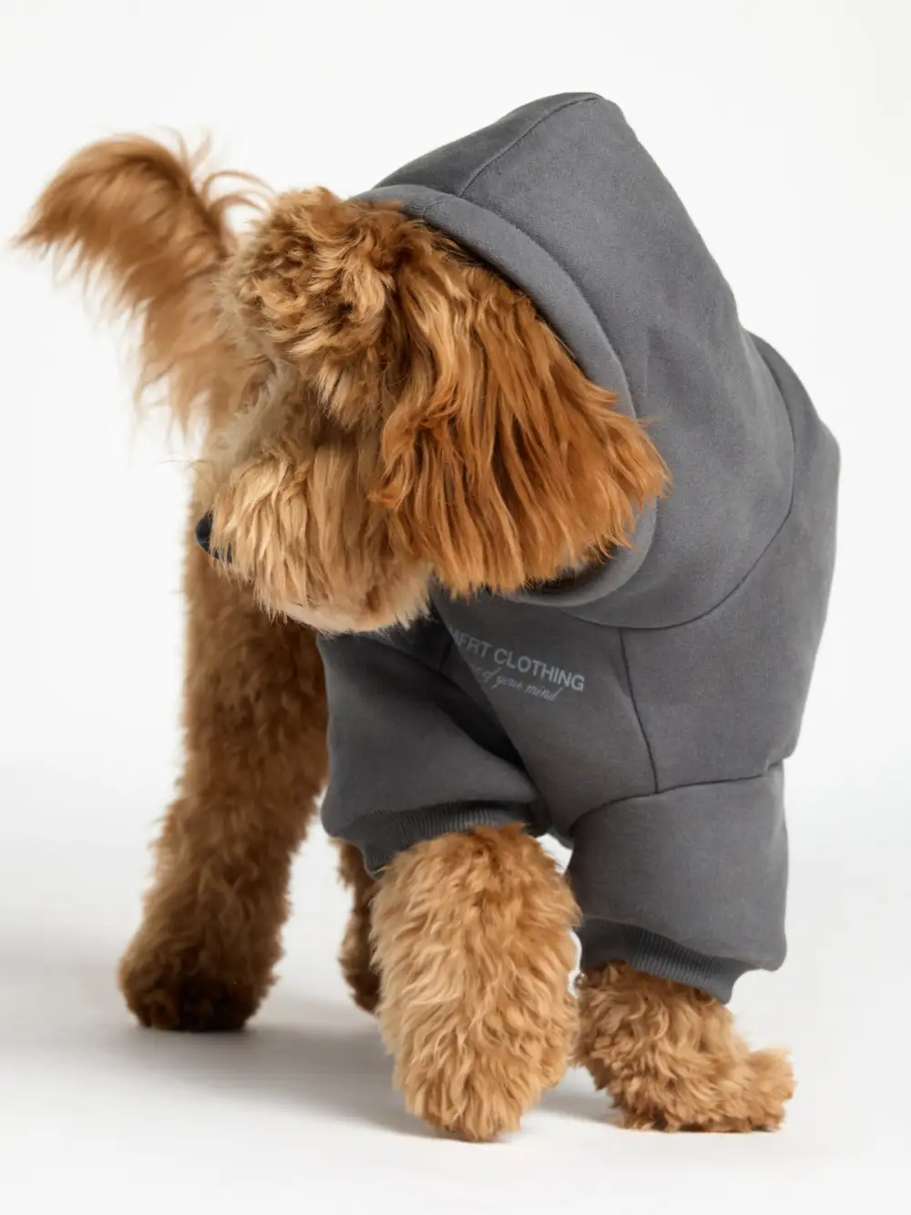 You Matter Paw Hoodie