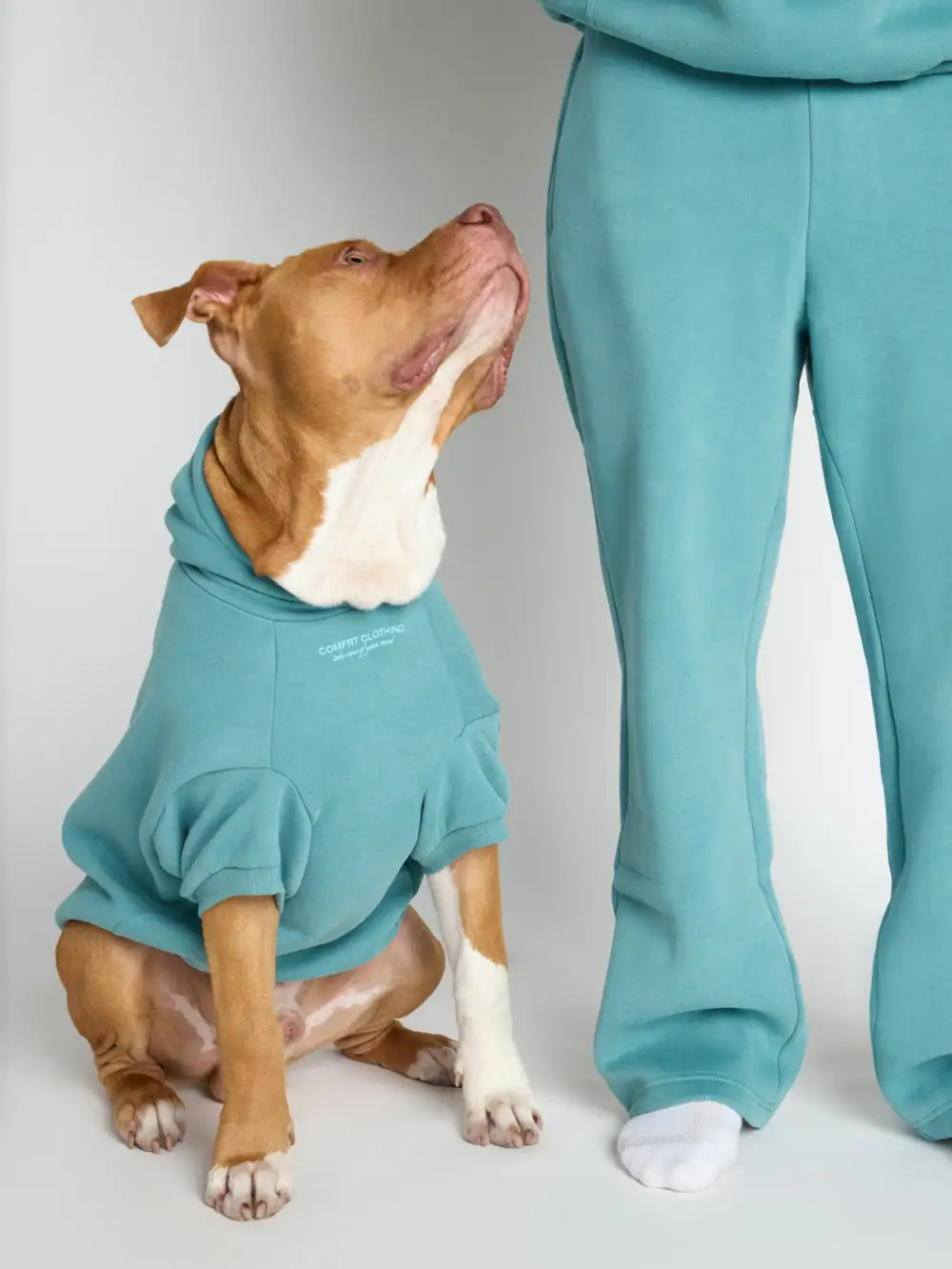 You Matter Paw Hoodie