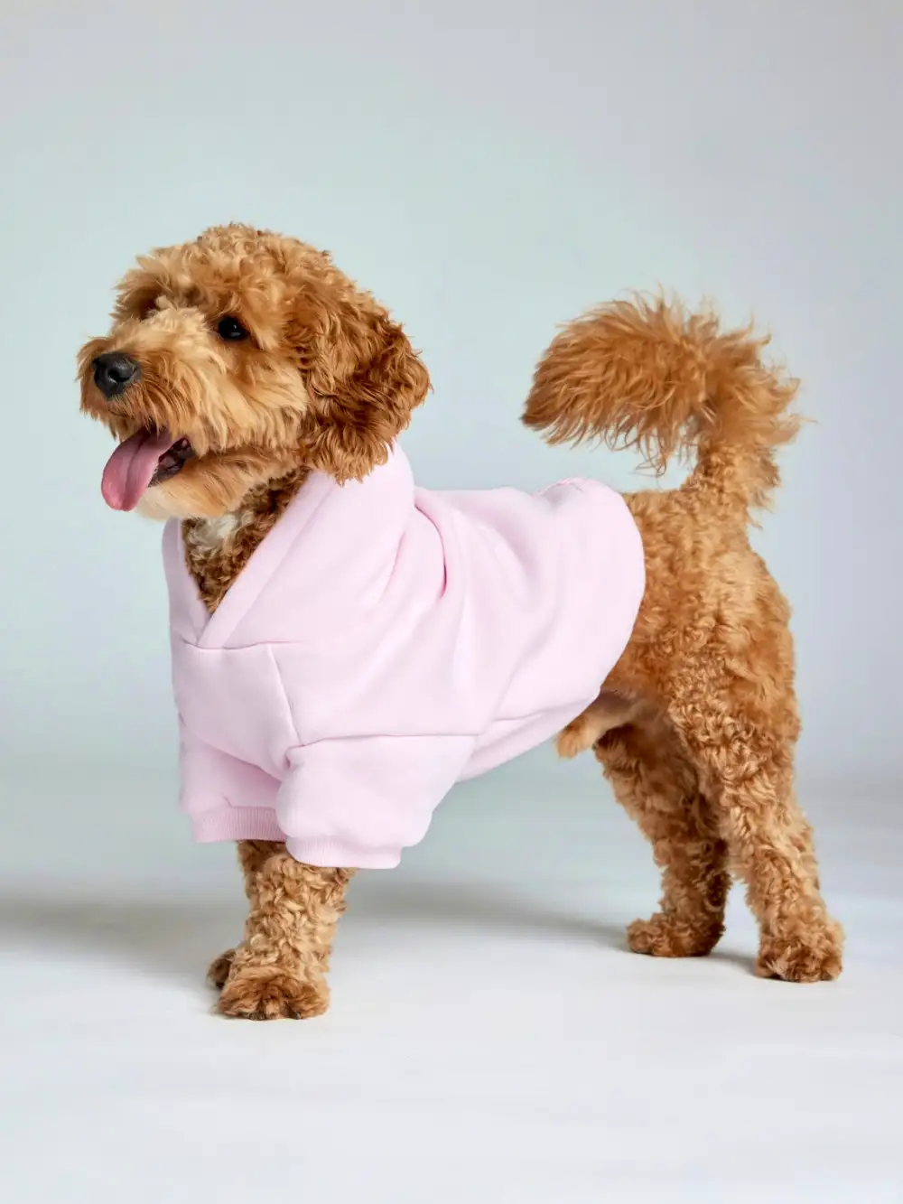 Minimalist Paw Hoodie