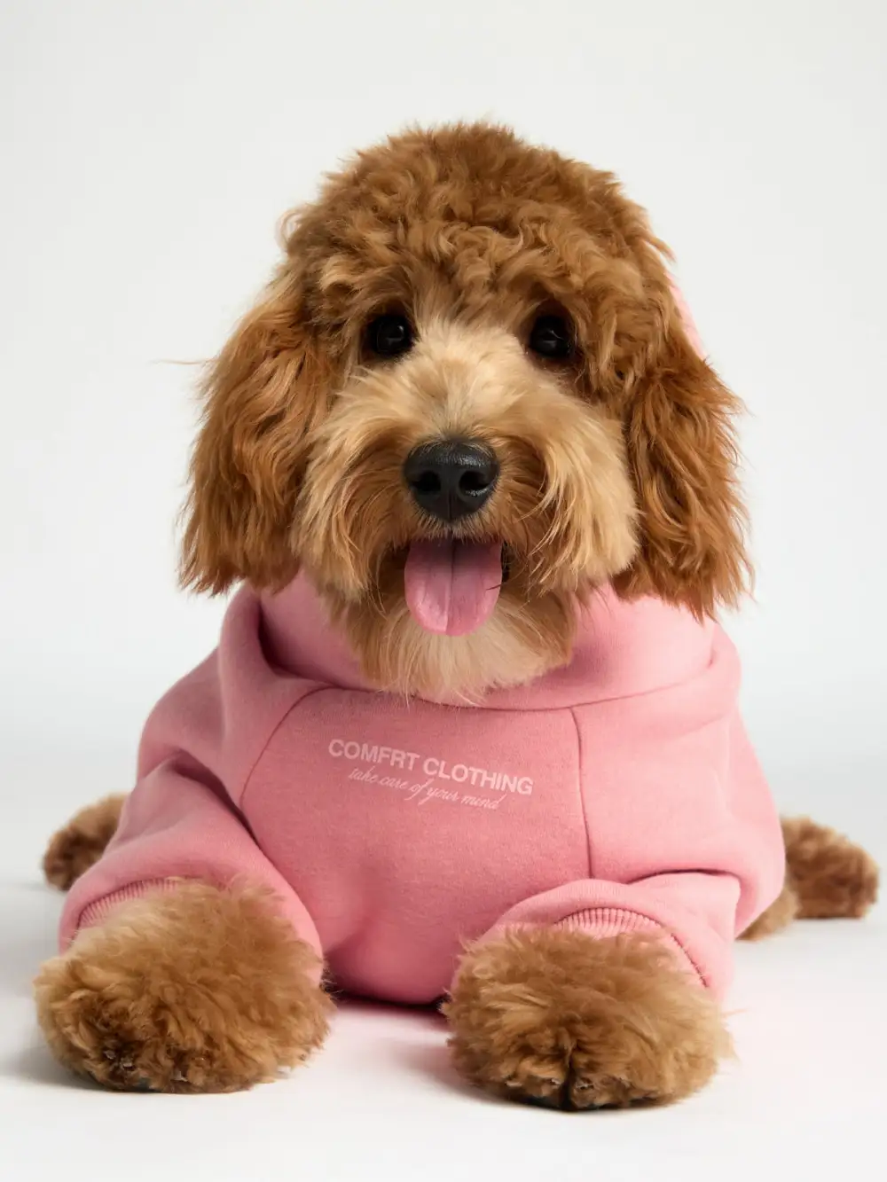 You Matter Paw Hoodie