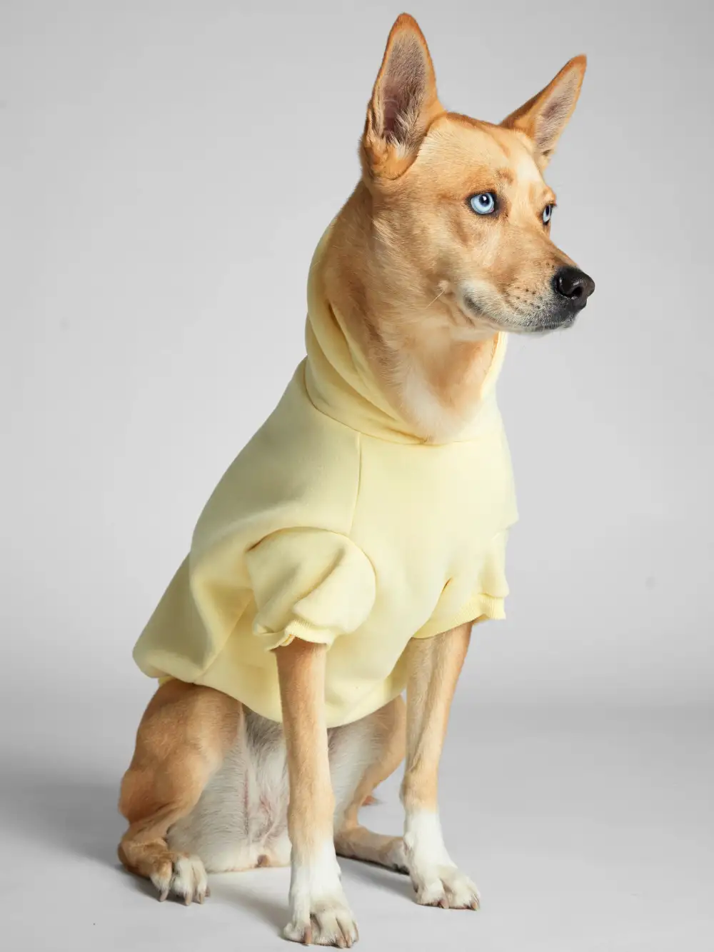 Minimalist Paw Hoodie