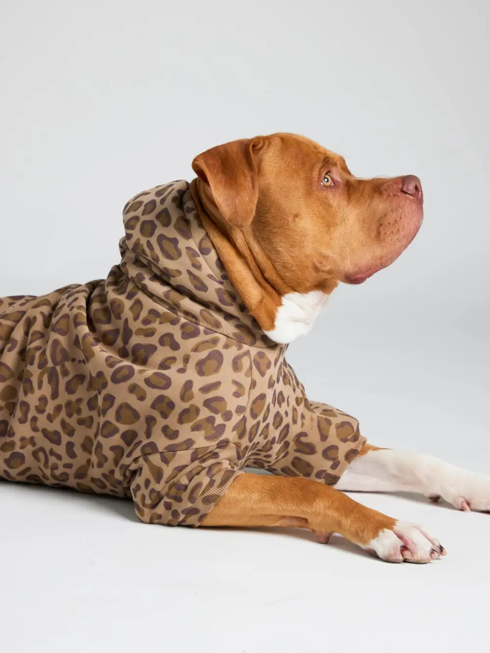 Minimalist Paw Hoodie