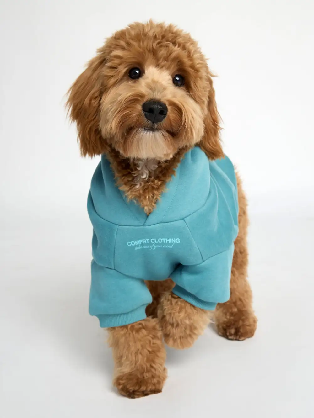 You Matter Paw Hoodie