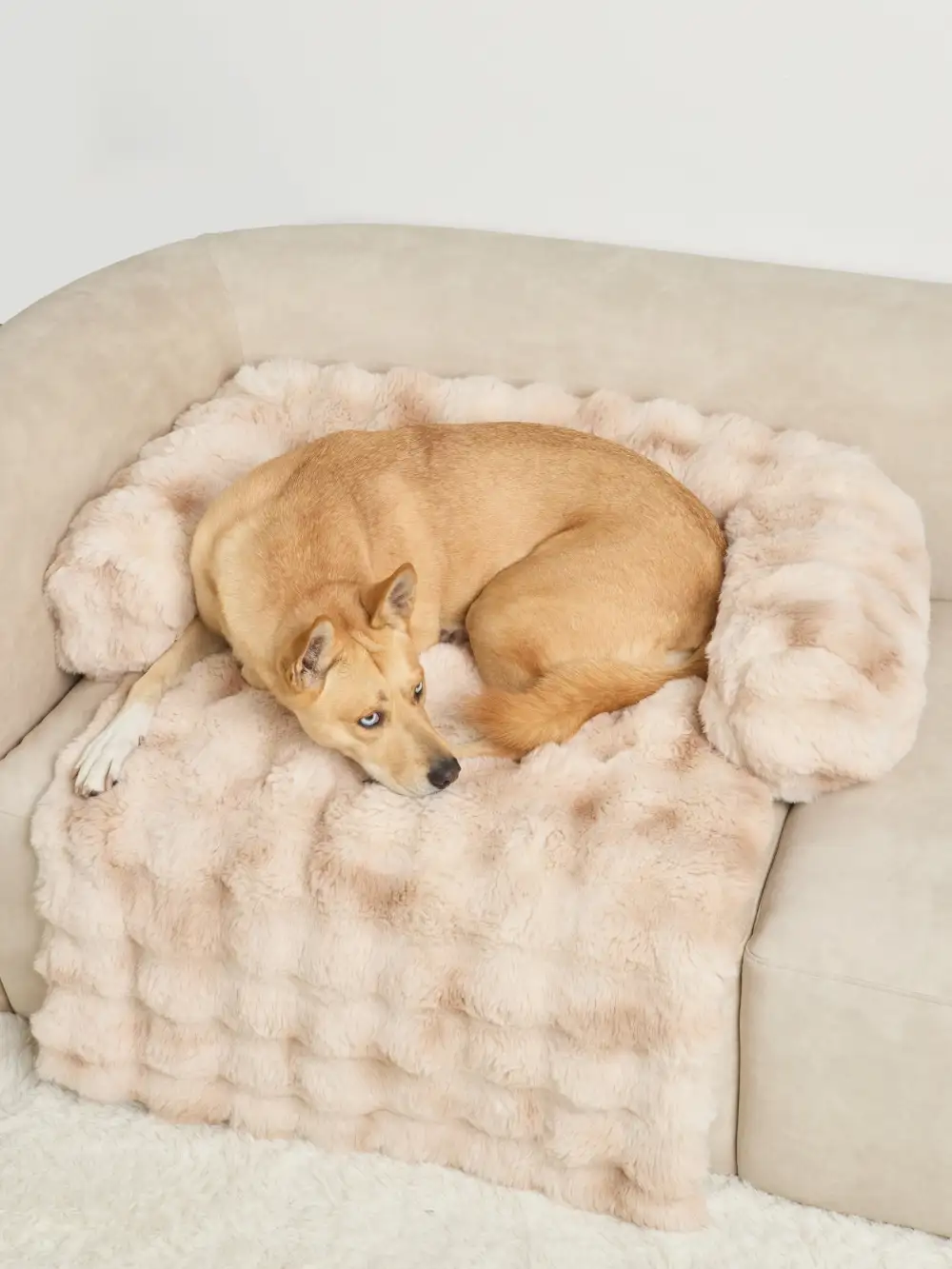 Dream Cloud Pet Sofa Bed