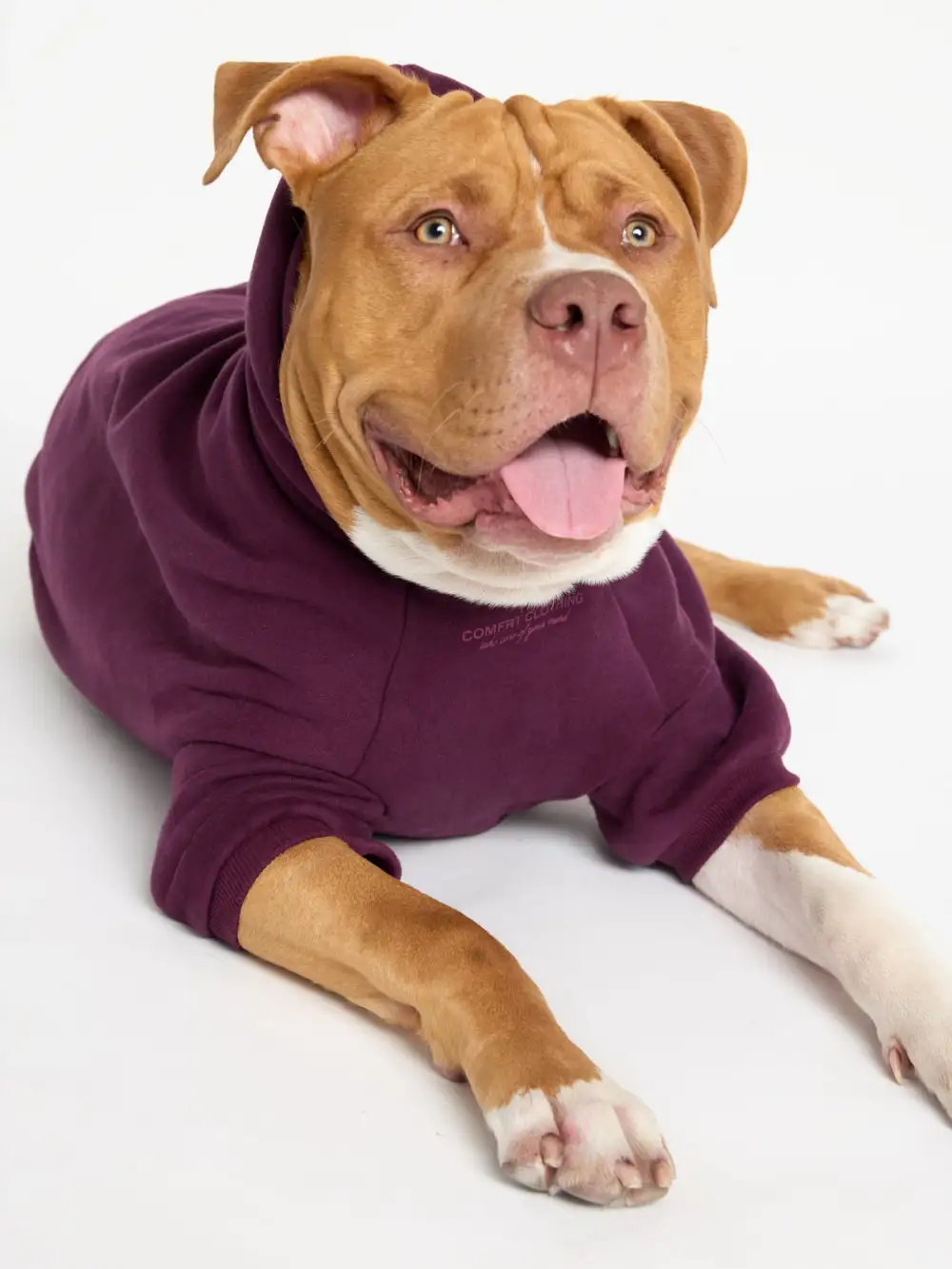 You Matter Paw Hoodie