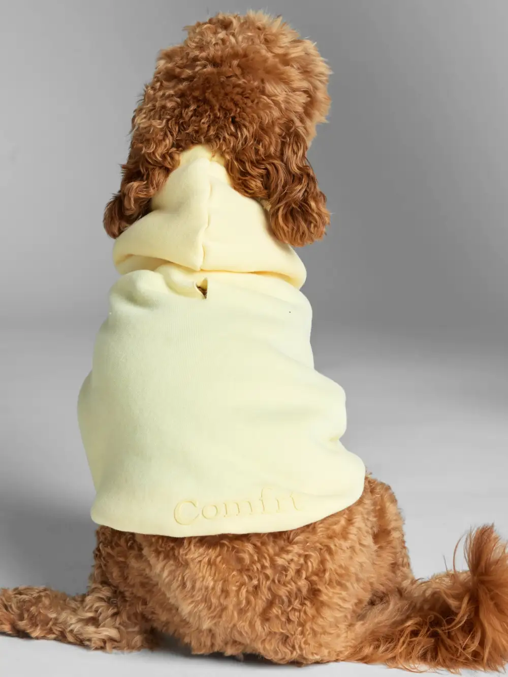 Minimalist Paw Hoodie