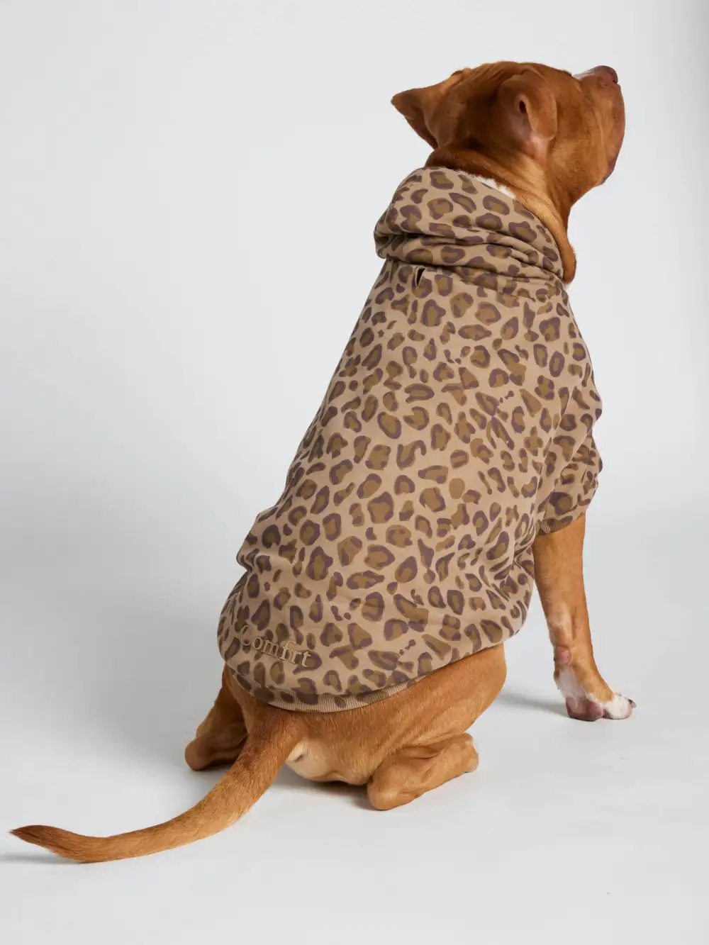 Minimalist Paw Hoodie