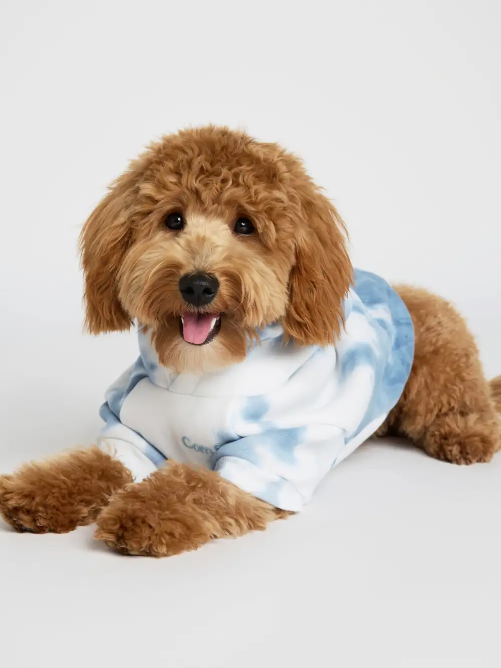 Minimalist Paw Hoodie