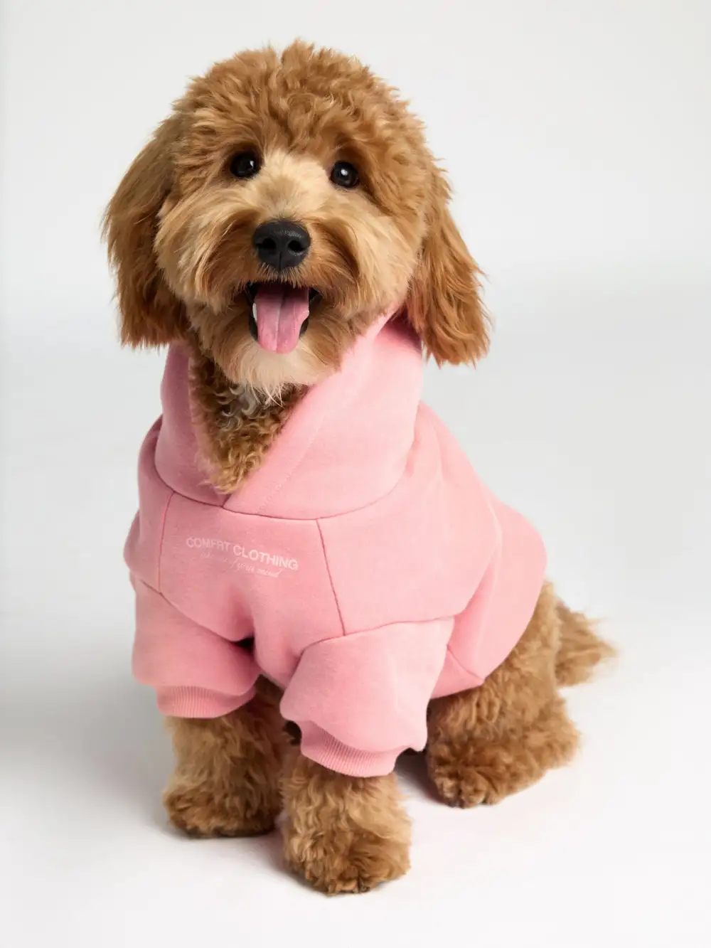 You Matter Paw Hoodie