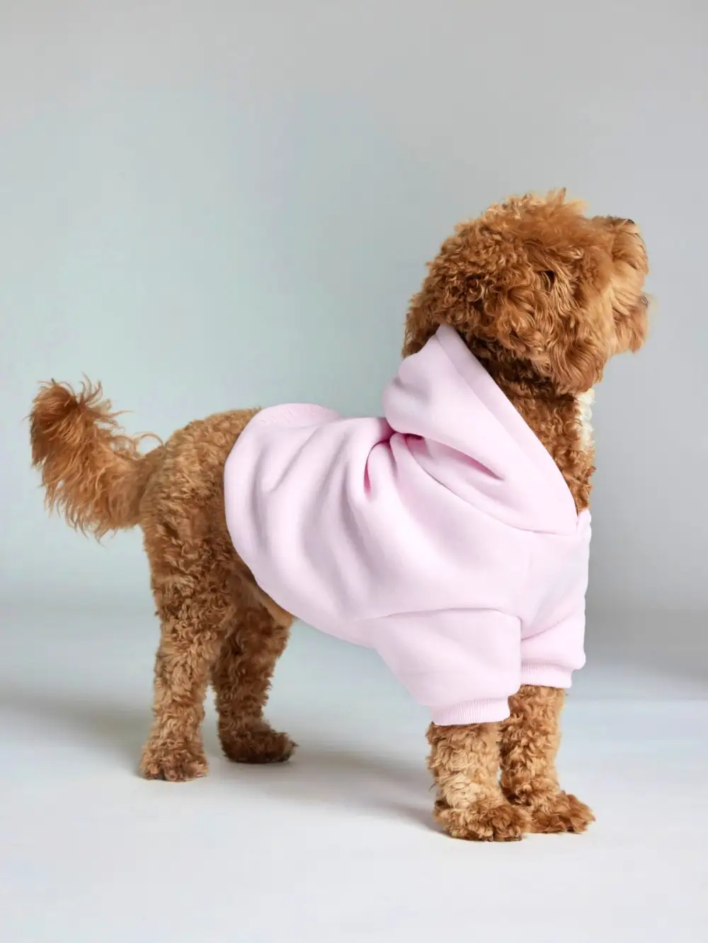 Minimalist Paw Hoodie