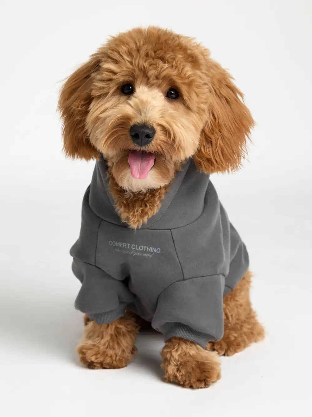 You Matter Paw Hoodie