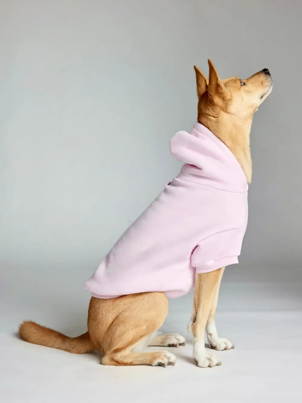 Minimalist Paw Hoodie