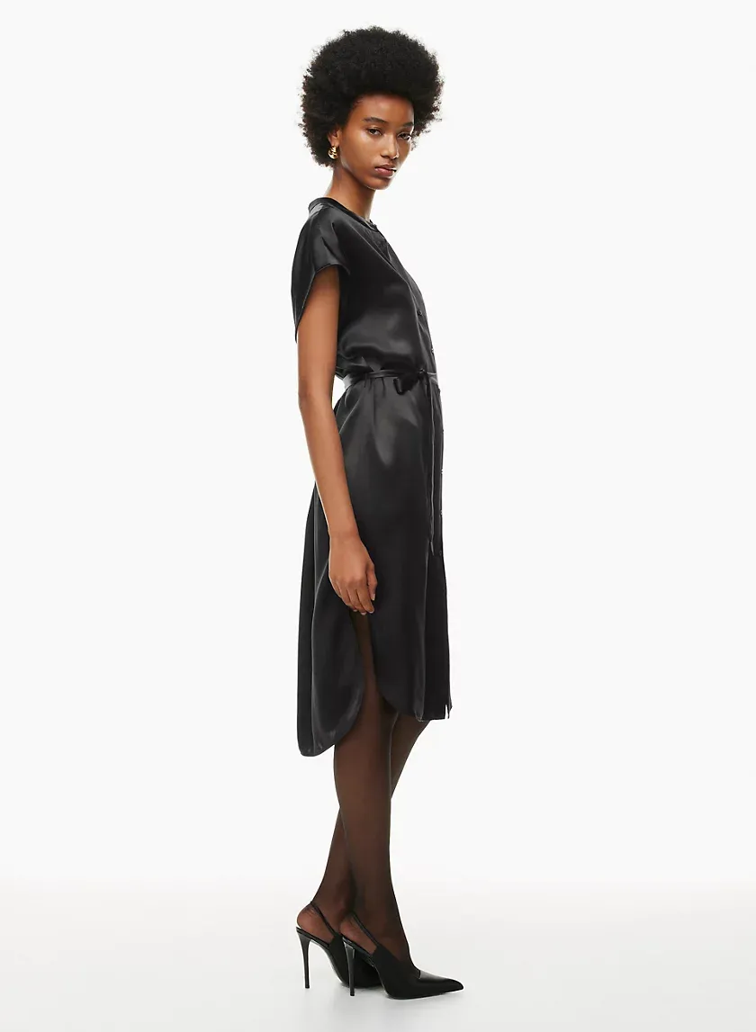 delegate silk dress