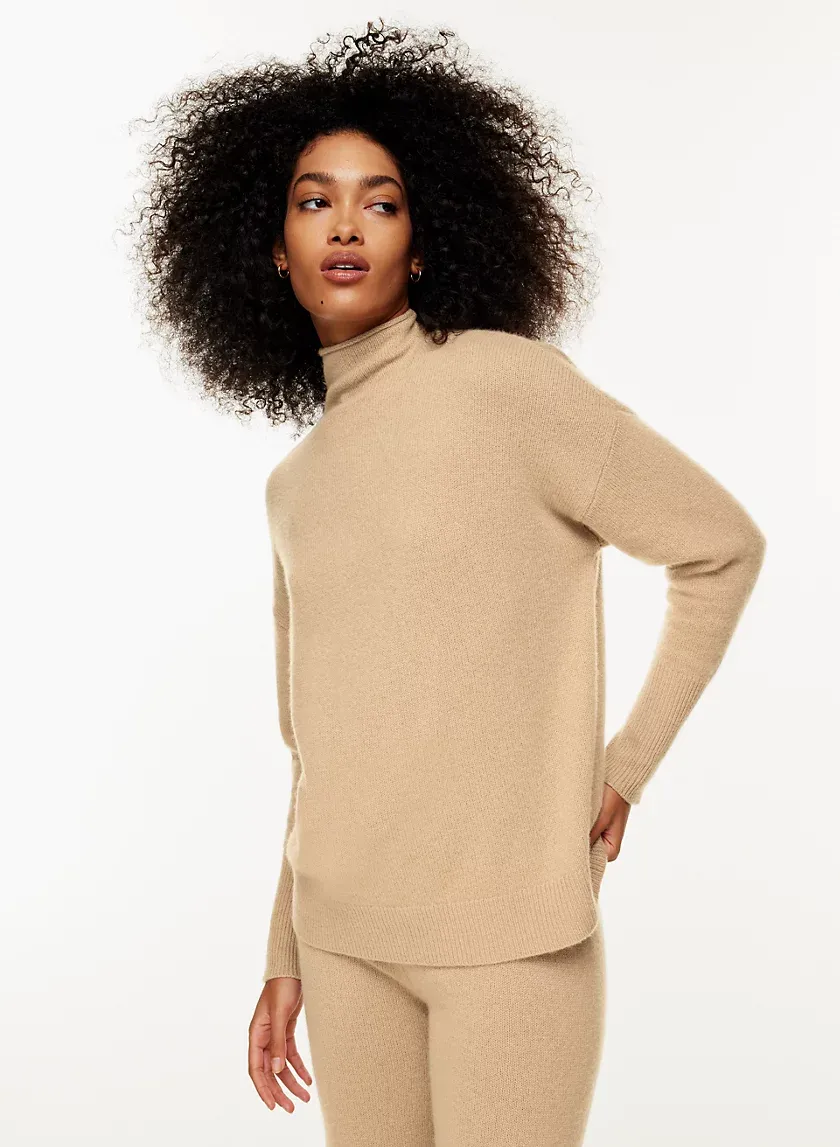 format luxe cashmere turtleneck