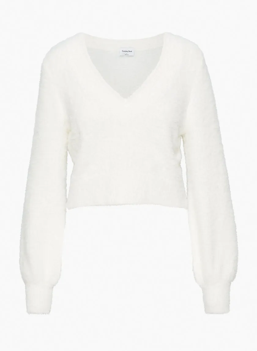 kitten v-neck sweater