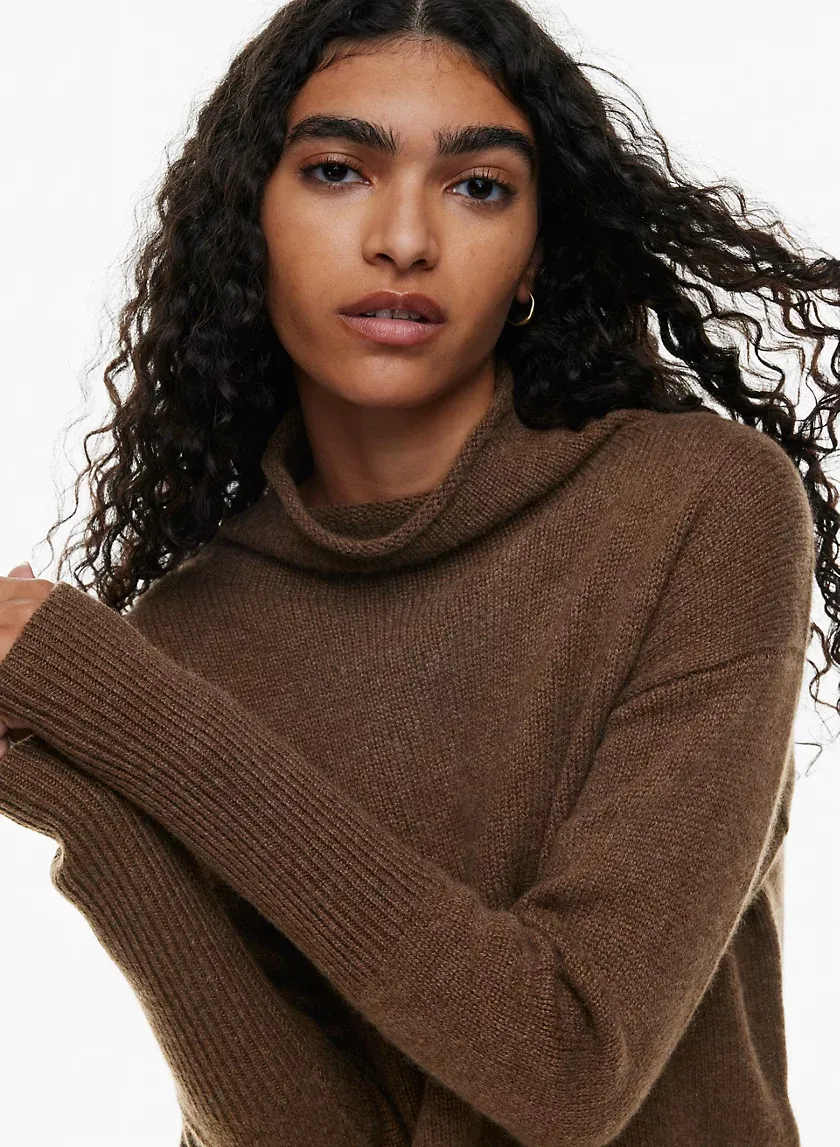 luxe cashmere cyprie sweater