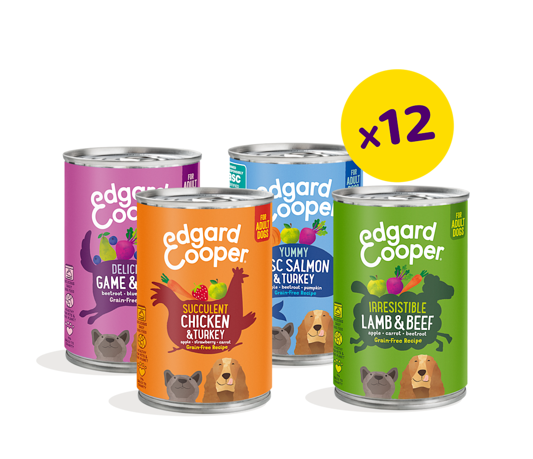 Tins Bundle - Grain free
