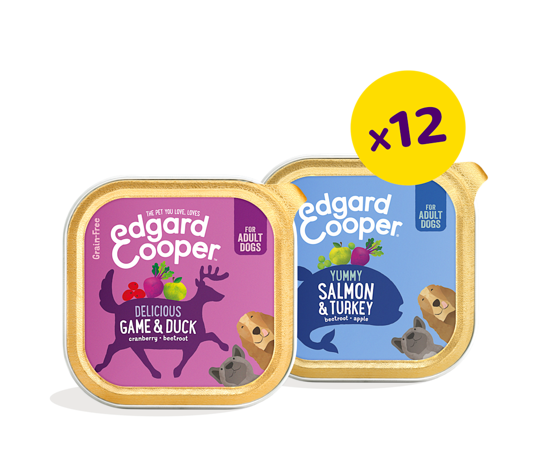 Cups Bundle - Hypoallergenic