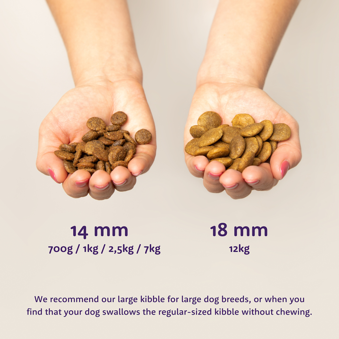 Fresh Norwegian Salmon