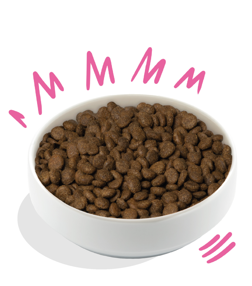 Crunchy Beetroot & Pumpkin