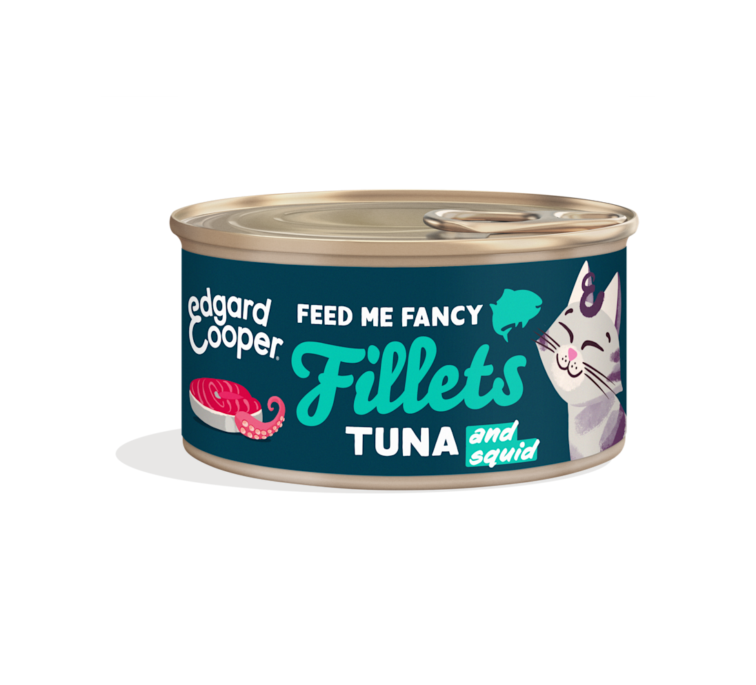 Tuna and Squid - Fillets