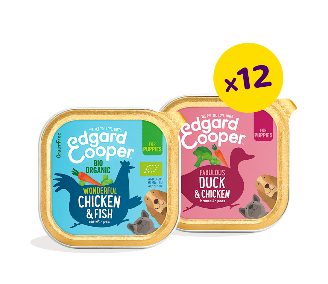 Puppy Cups Bundle - Grain free