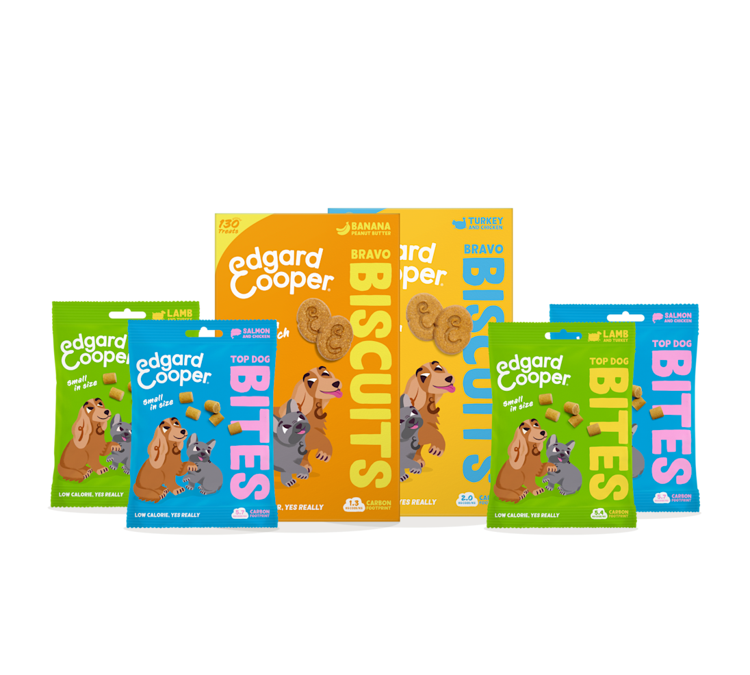 Treats Bundle - Bites & Biscuits