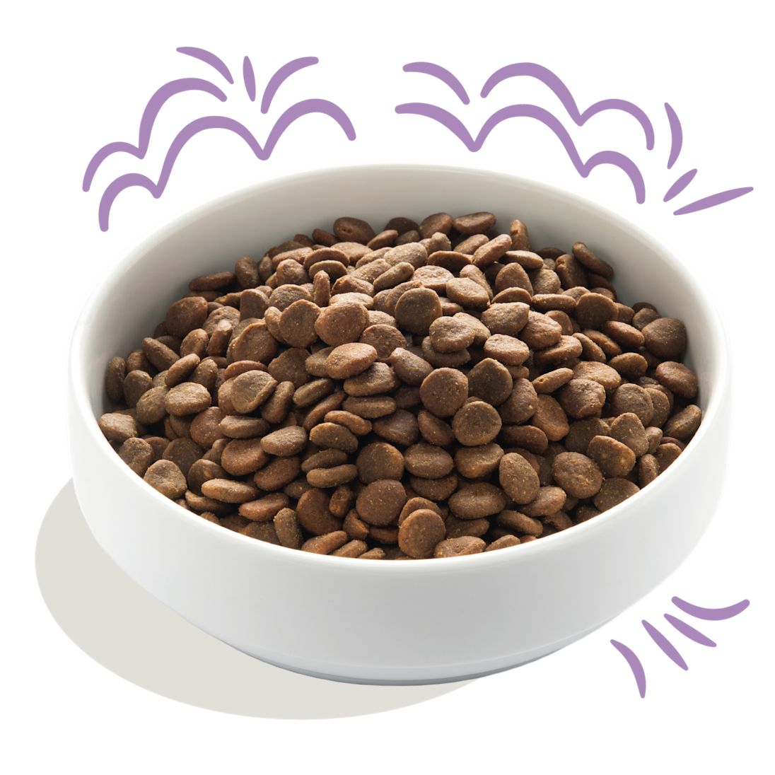 Fresh Atlantic Salmon & Free-Run Turkey