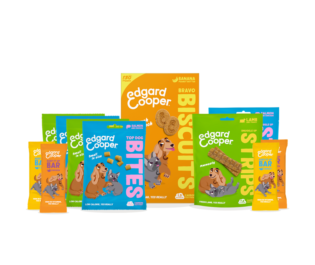 Treats Variety Bundle