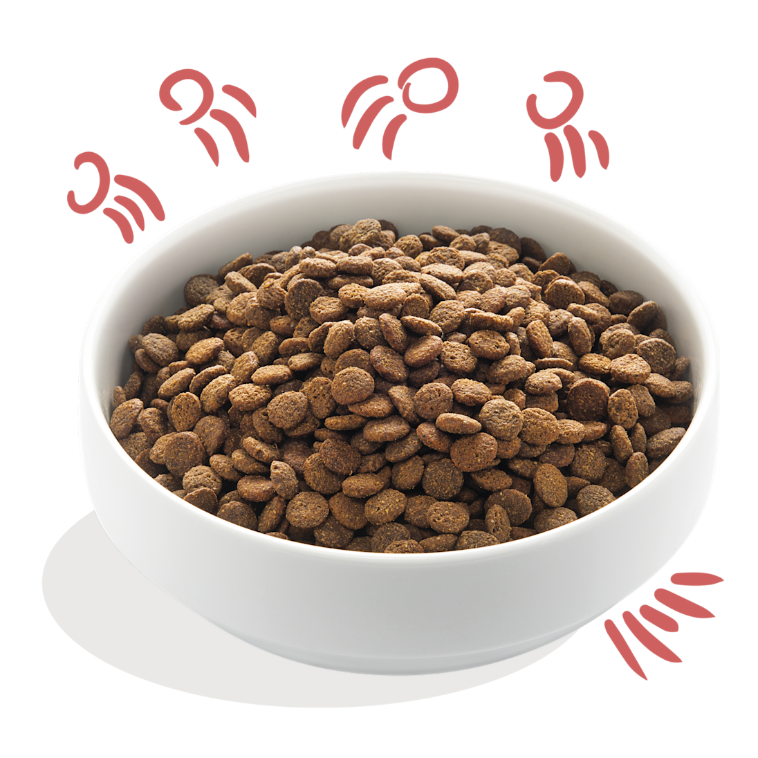 Fresh Free-Run Chicken & Norwegian Salmon