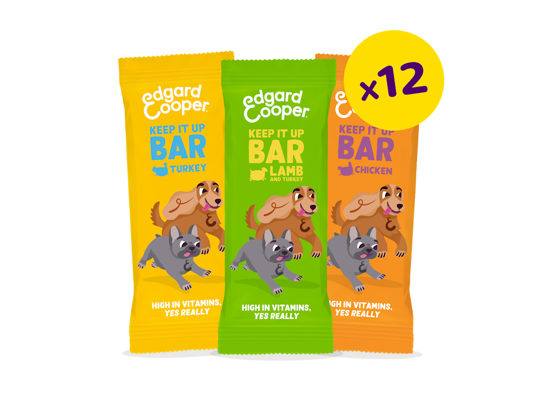 Treats Bundle - Bars