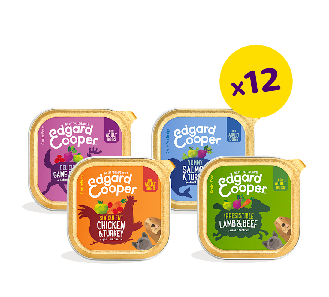 Cups Bundle - Grain free