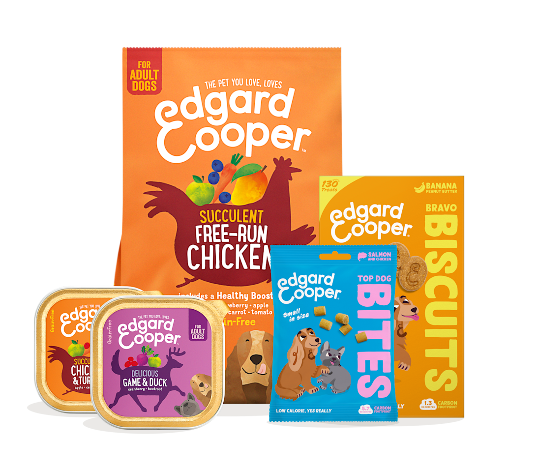 Adult Starter Bundle - Bestseller