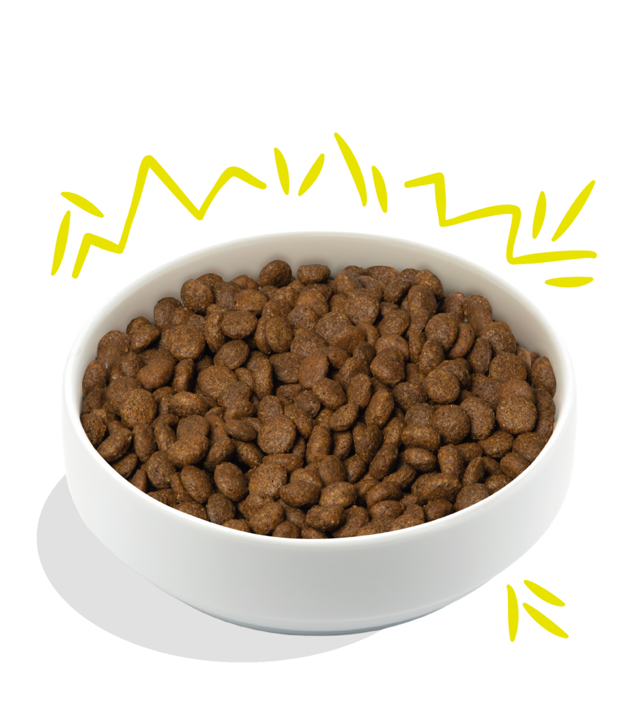 Crispy Carrot & Courgette