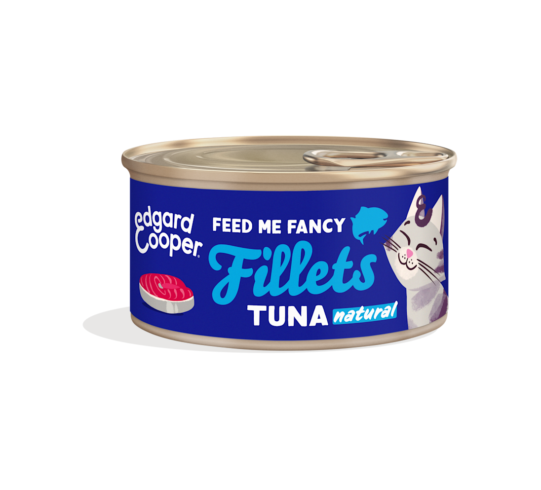Tuna - Fillets