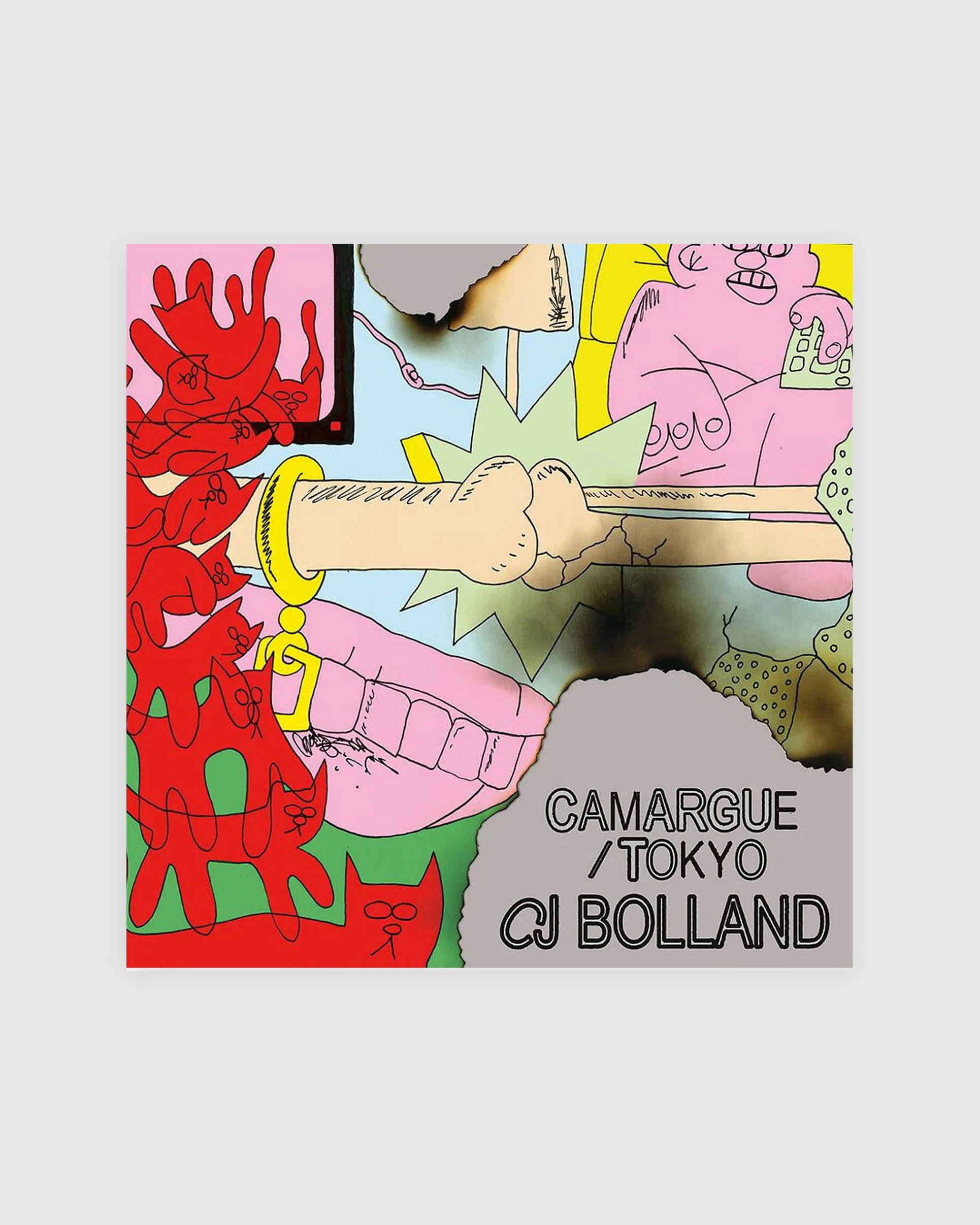 CJ Bolland - Camargue 12