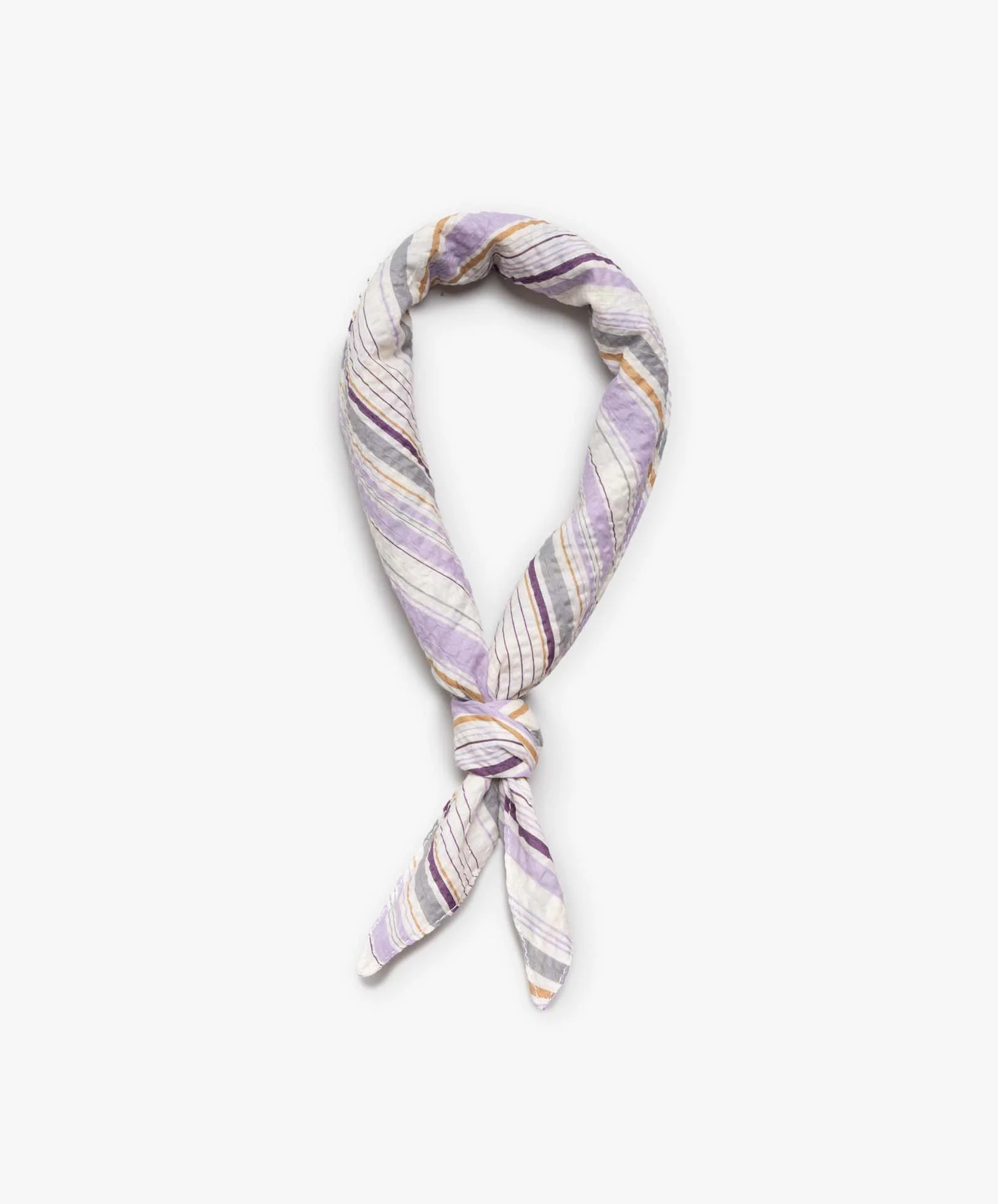 Bandana Lovers - Violet Stripes