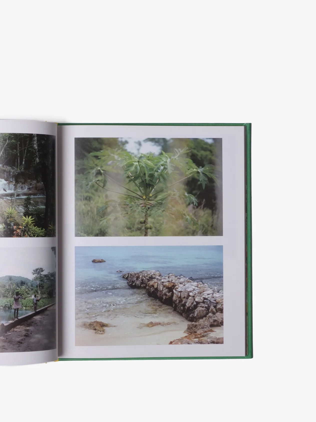 The Family Acid - Jamaica Book (+ Peter Tosh Postcard)