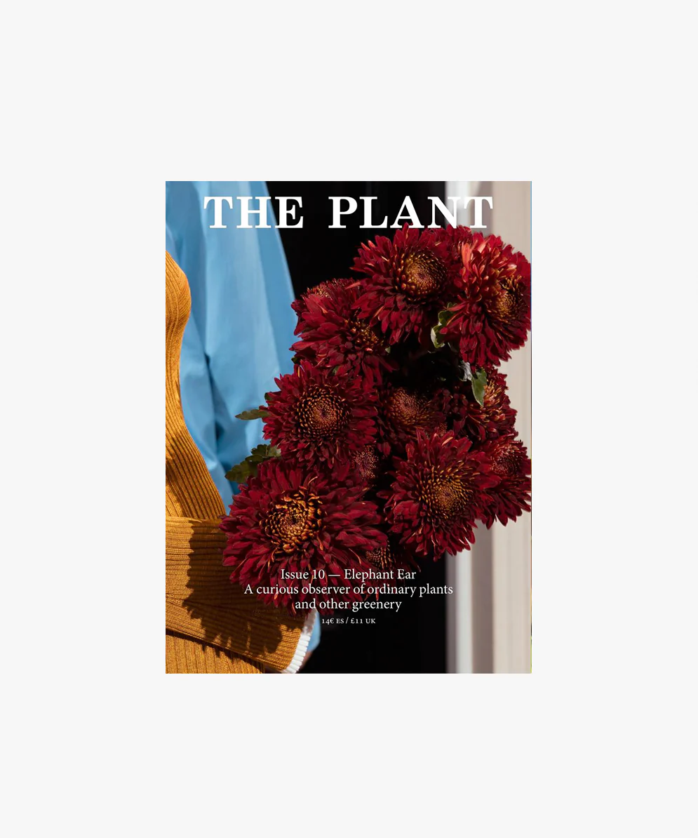 The Plant Issue 10