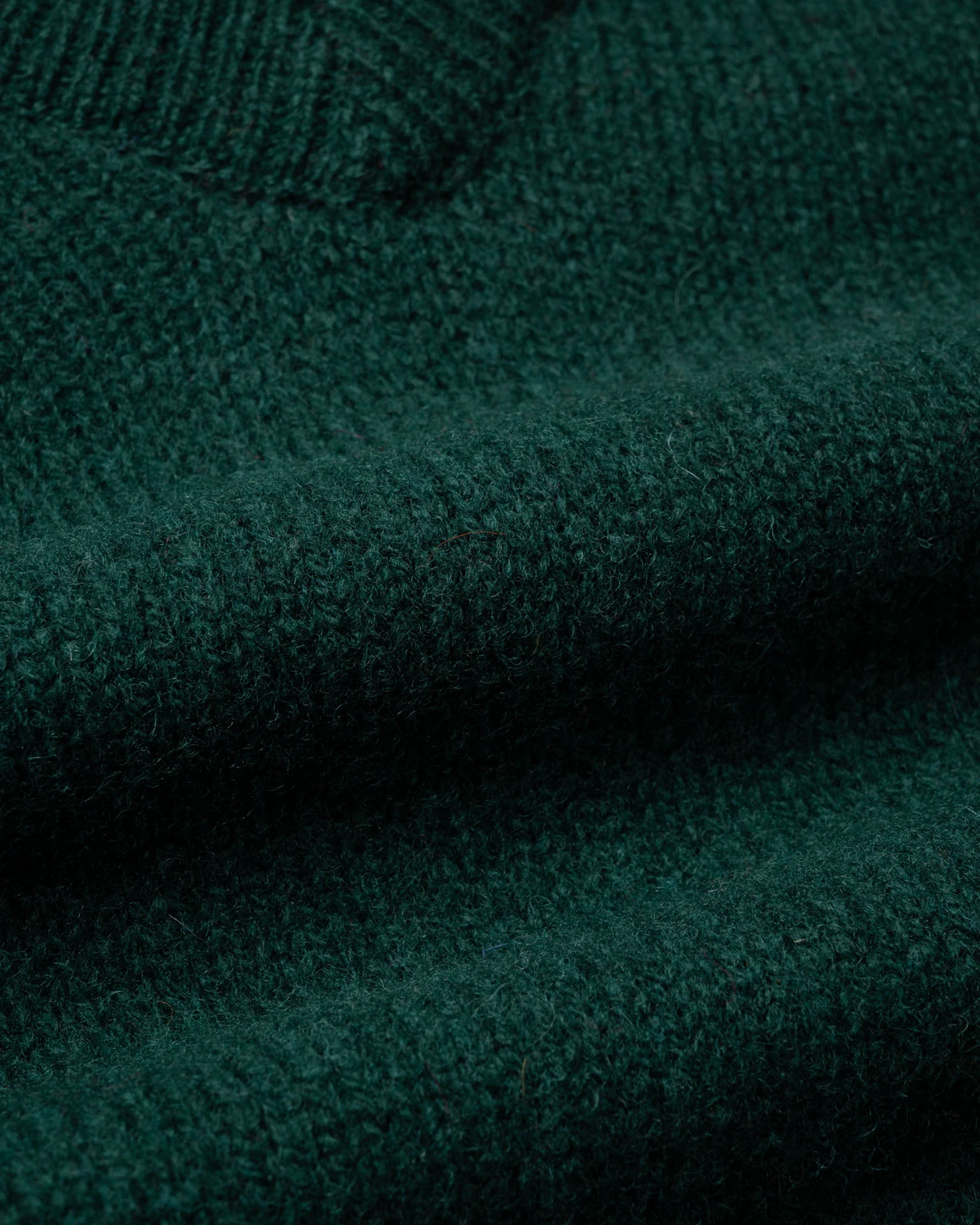 Future Memories - Forest