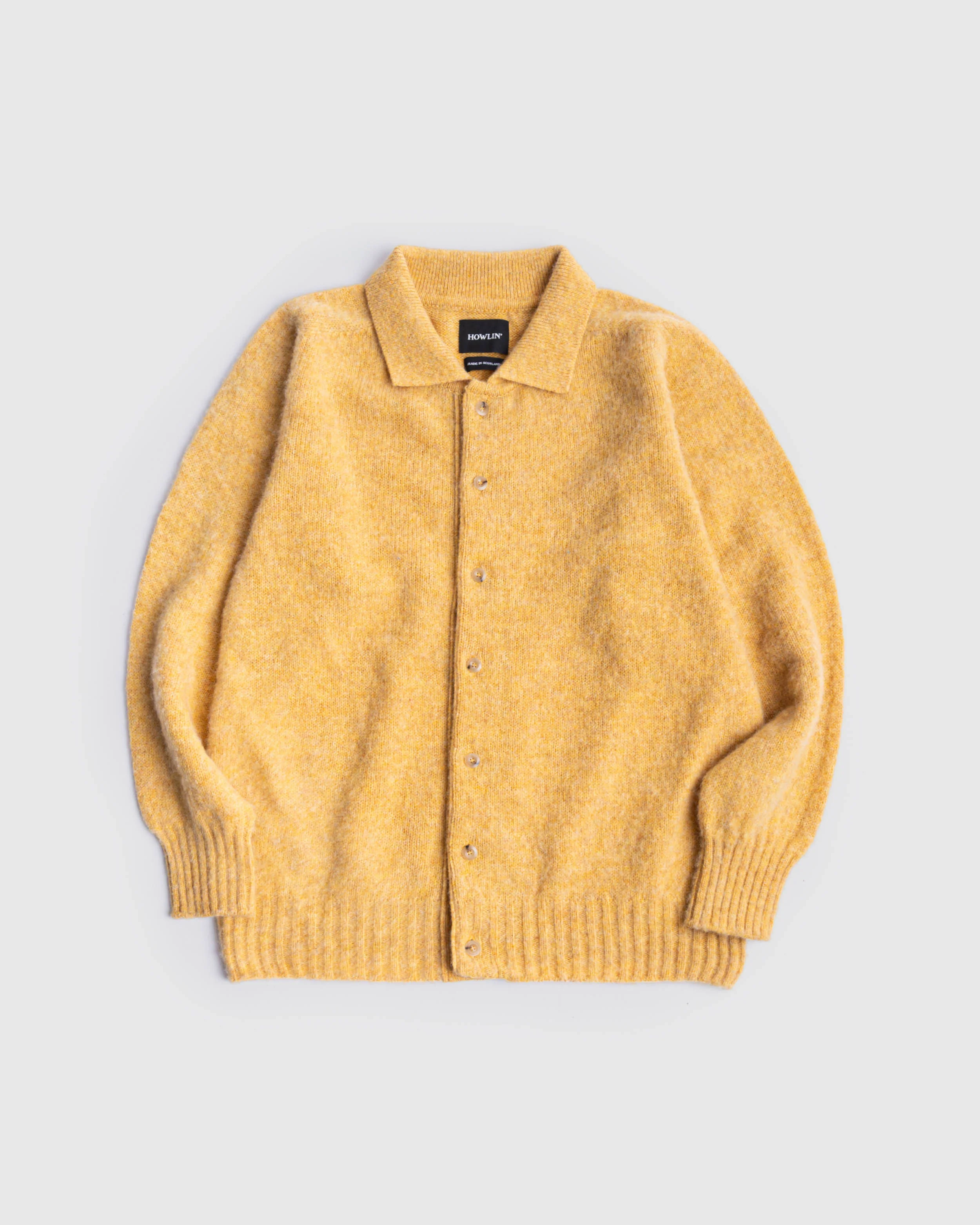 Creatures of the Howlin’ Moon - Blondie