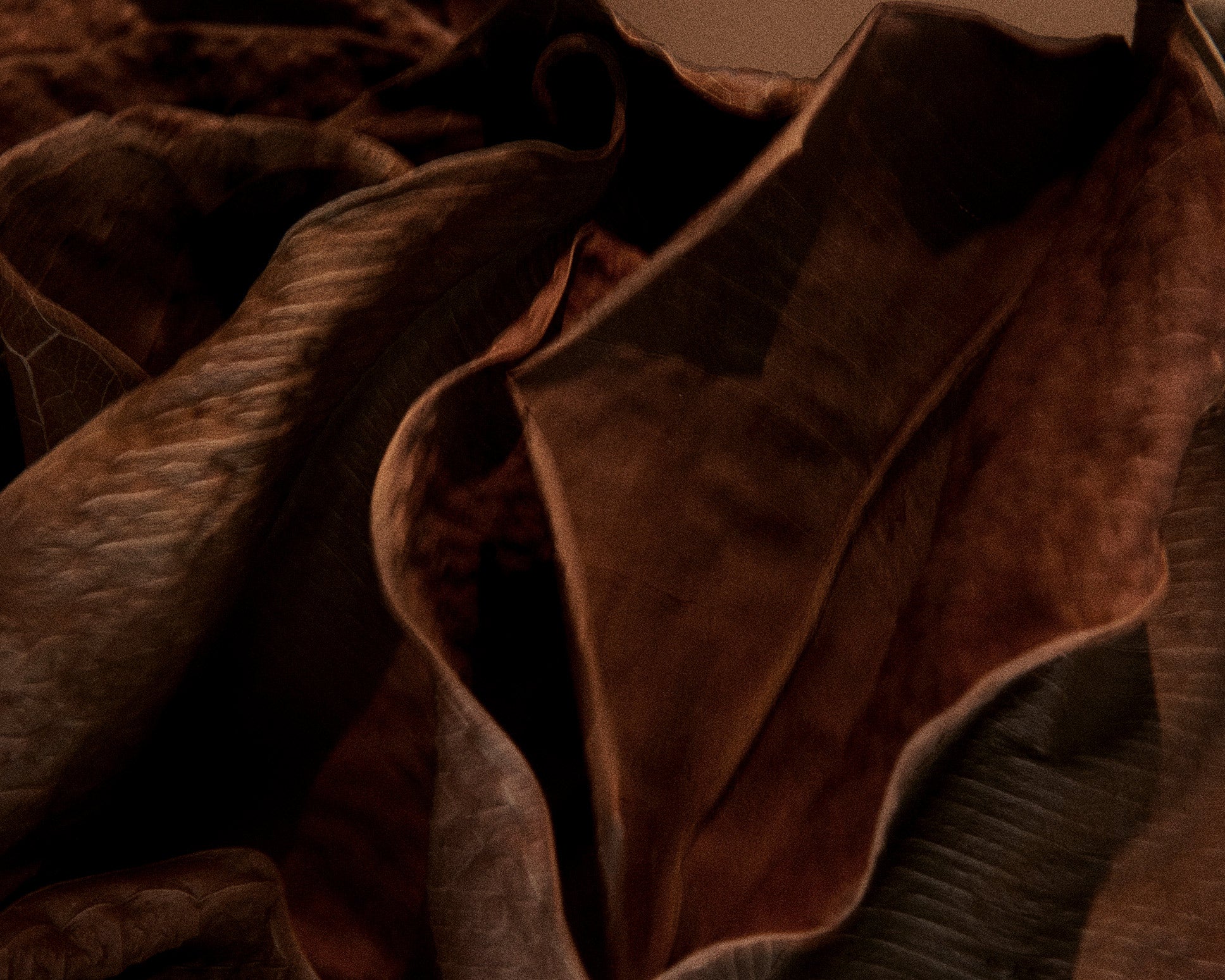 Perfume Oil | 1917 | 10 mL